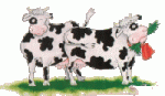 Cows-7.gif