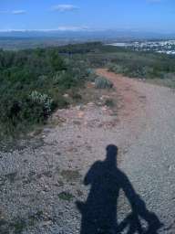 jordiolfe