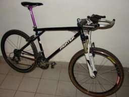 Cuervof2