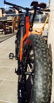 STUMPYFREAK
