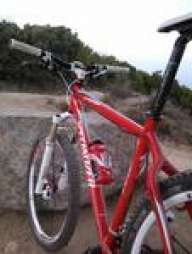 Saverio