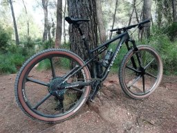 rafa bmx