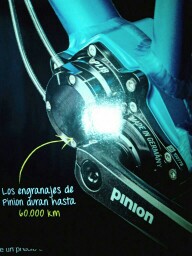 Ray77