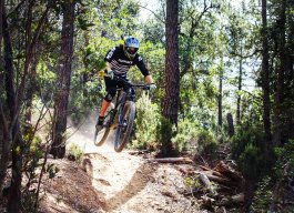 alberto_cup182