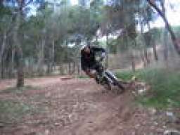 toral