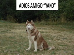 Gilbo