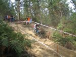 img_1731_.jpg