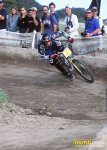 seaotter18.jpg