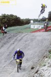 seaotter15.jpg