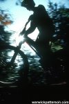 roachhit_silhouette.jpg