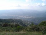 dsc00513.jpg