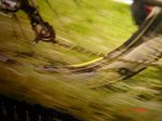 dsc00132.jpg