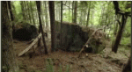 aprietaelculo-1.gif