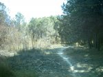 la_zona_oscura_ya_no_es_tan_oscura_y_barranco_del_fardacho_007.jpg