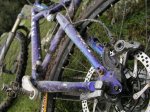 piron2010027.jpg