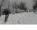 carretera_del_naranco._xc_en_prinmer_plano..jpg