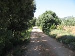 mini-Benasal 024.jpg