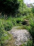 Ruta-Ciclista-2511.jpg