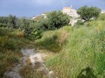 Ruta-Ciclista-2524.jpg