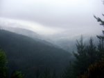 DSC02494.jpg