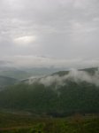 DSC02503.jpg