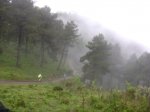 DSC02507.jpg