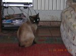 Imagen 002.jpg
