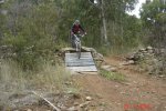 DSC08175.jpg