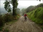 DSC08706.jpg