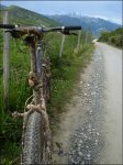 DSC08727.jpg