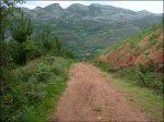 DSC08746.jpg