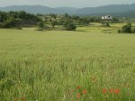 DSC00011.jpg