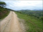 DSC08759.jpg