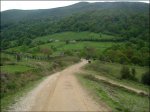 DSC08764.jpg