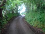 DSC08783.jpg