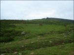 DSC08803.jpg