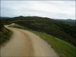 DSC08818.jpg