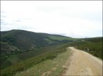 DSC08833.jpg