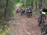 DSCN1568.jpg