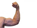 brazo%20contraido%20copia[1].jpg