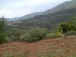 Imagen009.jpg
