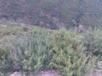 Imagen049.jpg