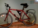 1.BICI ENTERA.jpg