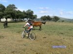 12 240509 Dehesa de Mocalvillo 36km[1].JPG