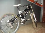 DSC00261.jpg