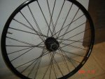 DSC04427.JPG
