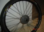 DSC04429.JPG