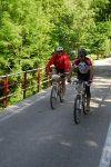 _MTB5169.jpg