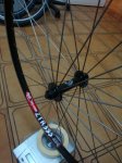 DSC01444.JPG
