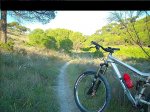 DSCN3071.JPG